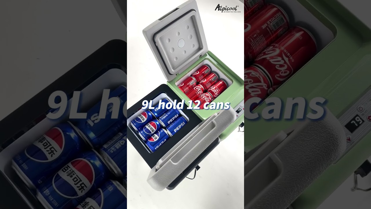 What's differences between Alpicool 9L Mini Car Refrigerator C9 and C9PT? #alpicool #carfridge