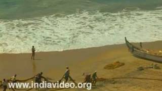 Hauling ashore the catch at Kovalam 