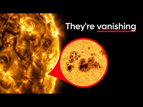 The Solar Cycle is Breaking Down, and No One Knows Why
