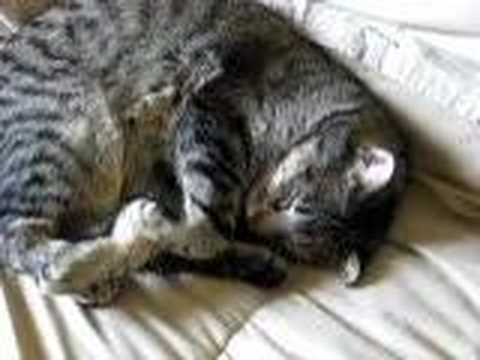 how cute keifer is !!!!