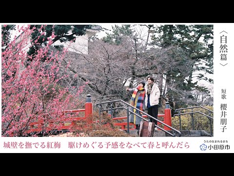 小田原市観光PR動画「うたの生まれるまち 小田原」⑤＜自然篇＞