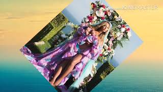 Beyonce Knowles and Jay Z❤️🤩-Lemonade