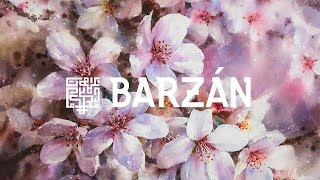 OKKAH - Body of a Swan