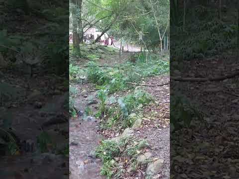 Un oasis de agua y paz en la Quebrada de San Lorenzo (Salta)
