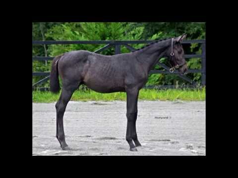 Patient Munny (Canturo-Clinton-Darco)