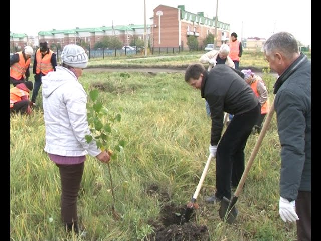 Город…в цветущий сад