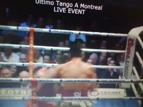 Jean Pasqual VS Silvio Branco Clips