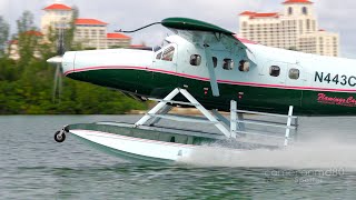 Flamingo Cay DHC-3 Turbo Otter Landing and Takeoff from Lake Cunningham Bahamas | N443CB