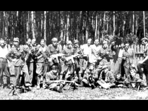 Ojczyzno ma tyle razy we krwi skąpana