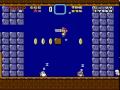 Super Mario World Custom Level Blocky Waters