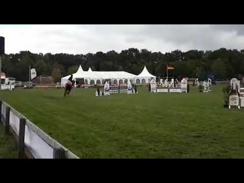 Chained Django. September 2019