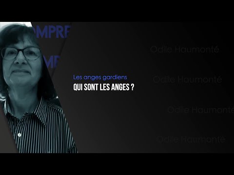 COMPRENDRE / Les anges gardiens