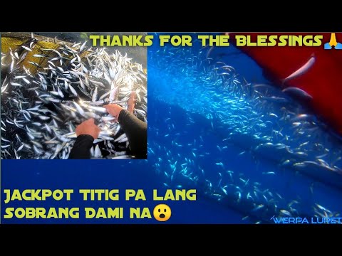 EP.27 Pahirapan Sa pagbatak ng Lambat Jackpot Ulit titig pa lang Sobrang dami na#fishing#marinduque