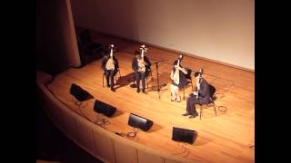 Spring Blossom on a Moonlit River