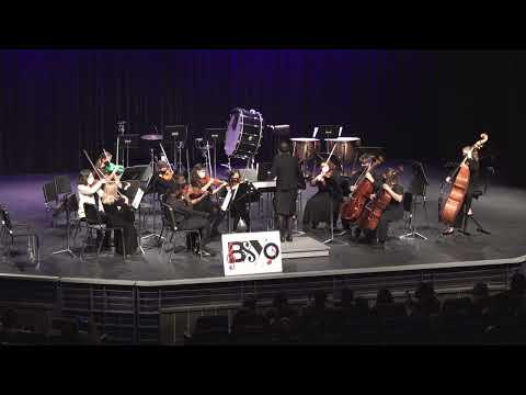 Brevard Symphony Youth Orchestra BSYO March 2022