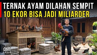 Download lagu TERNAK AYAM ELBA DI LAHAN SEMPIT CUKUP 10 EKOR BISA JADI MILIARDER | CERITA USAHA mp3