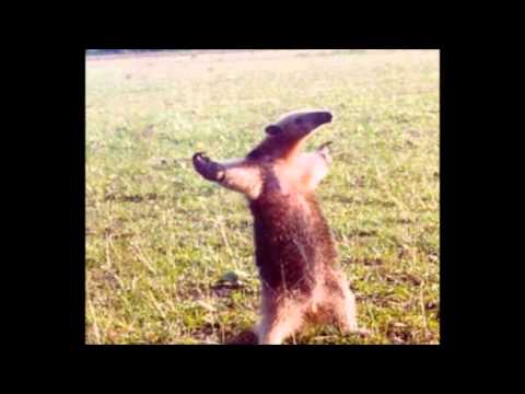 No More (Baby I'm a Do Right) by 3LW