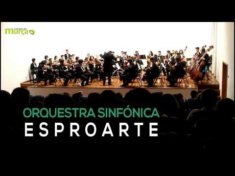 Concerto da Orquestra ESPROARTE no Auditório Municipal de Murça