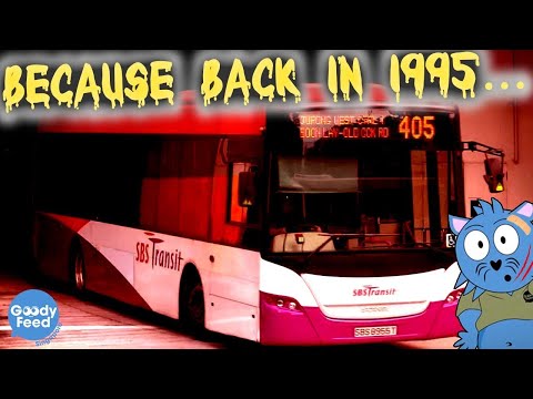 Why This SBS Bus Operates Only 7 Days a Year & Only During the Day (SBS Bus Service 405)