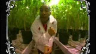 Ludacris - Blueberry Yum Yum