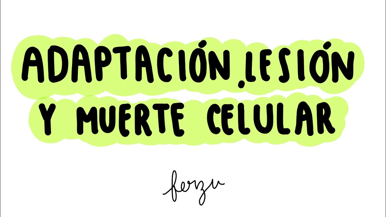 ADAPTACIÓN, LESIÓN Y MUERTE CELULAR.