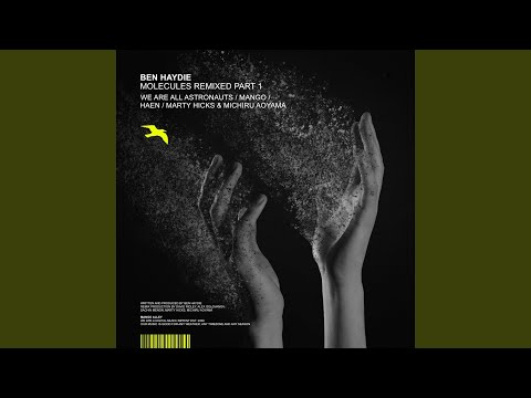 Molecules (We Are All Astronauts Remix)