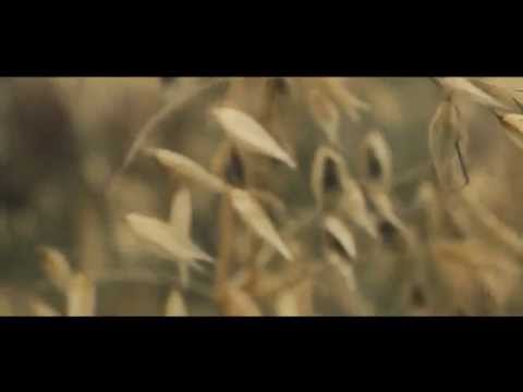 [Ambient] Moz5a - Imperfect Motions