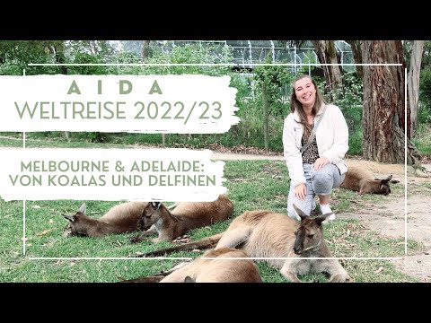 AIDA World Cruise 2022/23 - Melbourne & Adelaide: Of Koalas and Dolphins - VLOG Part 22