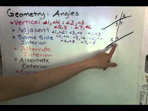Geometry Angles: Vertical, Adjacent, Same Side Interior, Alternate Interior/Exterior, Corresponding
