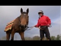 ITV London Feature On Stable Staff Laura Mongan