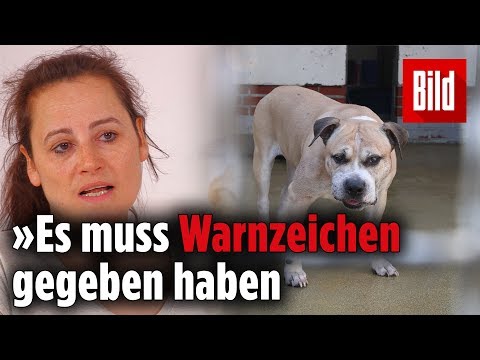 Eine Tierärztin erklärt, wie „Chico“ sein Frauchen und deren Sohn totbeißen konnte