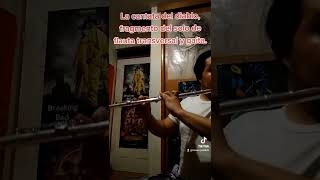 mago de oz la cantata del diablo en flauta