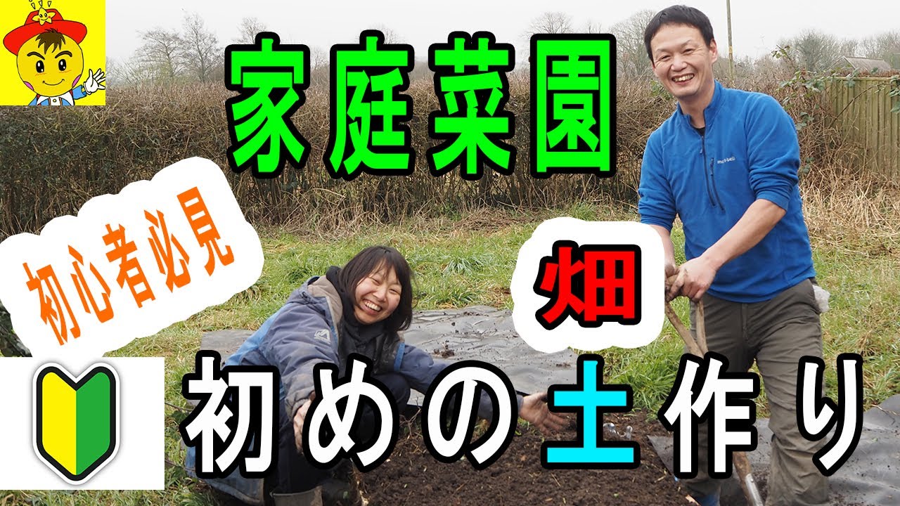木枠と底堆肥で作る自然栽培の畑
