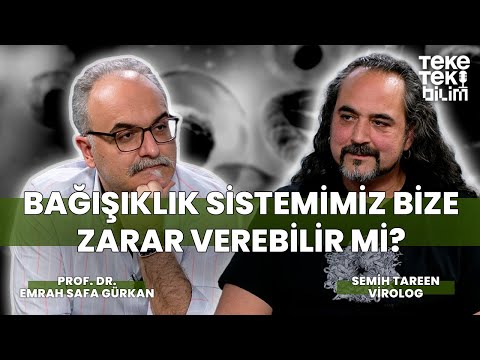 Bağışıklık sistemimiz bize zarar verebilir mi? / Emrah Safa Gürkan & Semih Tareen - Teke Tek Bilim