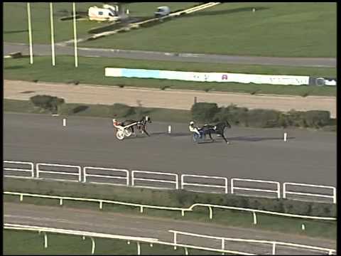 Trotto 04/12/2014 - prova di qualifica