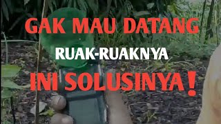 Download lagu jerat ruak ruak\\yg susah keluar||hanya bunyi mp3 Download lagu jerat ruak ruak\\yg susah keluar||hanya bunyi mp3