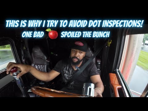 The reason why I don’t trust DOT | Day 2 of the DOT blitz | Tight blindside backing | Peterbilt 379