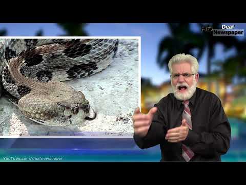 News in ASL 6.4.2019