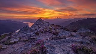 The Him ft. Sorana - Oasis