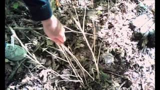 Kaz vs Wild 3 Learning about wild edibles & a send off surprise!!