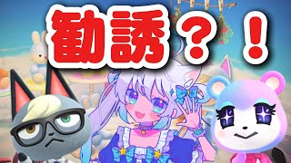 【ゲーム配信】あつまれどうぶつの森 ┊amiiboカード使ってみる！【猫島ちくわ/個人VTuber 】#acnh　#あつまれどうぶつの森  #あつ森vtuber