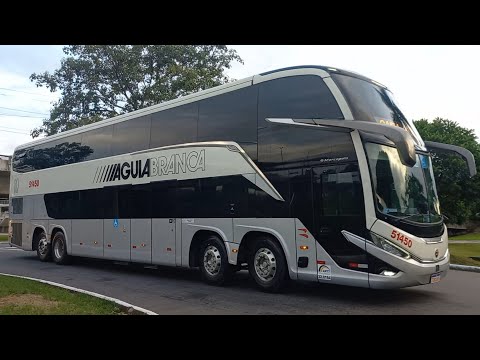 RODOVIÁRIA DE VITÓRIA (ES) - MOVIMENTAÇÃO DE ÔNIBUS | ÁGUIA BRANCA, NOVA ITAPEMIRIM, GONTIJO