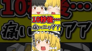 10秒後・・・歯が痛くて泣く猫ちゃん！？ #shorts #ゆっくり茶番劇 #博麗霊夢