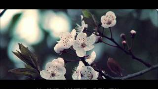 L&#39;inizio - Tosca ft. Fiorello