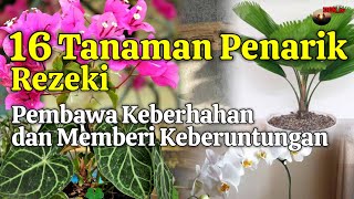 Download lagu 16 Tanaman Hias Pembawa Rezeki -Tanaman Pembawa Keberuntungan | Penarik Rezeki mp3