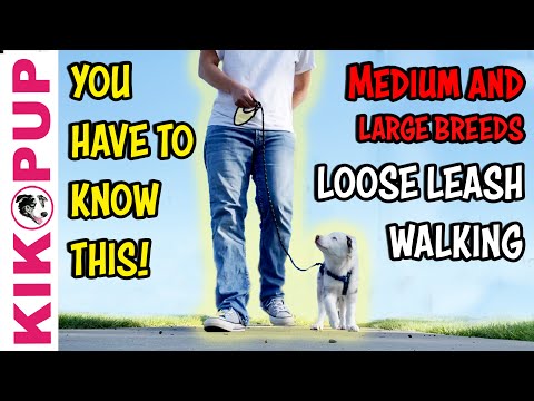 STOP UNWANTED behaviors with BACK UP