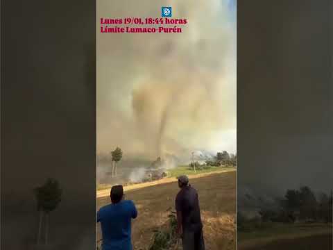 Purén, La Araucanía: Registran "tornado de humo" en medio de incendios forestales