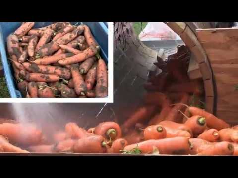 download lagu mp3 mp4 Homemade Carrot Washer, download lagu Homemade Carrot Washer gratis, unduh video klip Homemade Carrot Washer