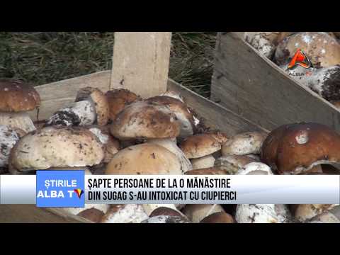 Sapte persoane de la o manastire din Sugag s au intoxicat cu ciuperci