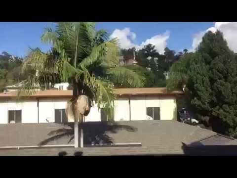 2017 Arygle Ave. Bachelor Apt.